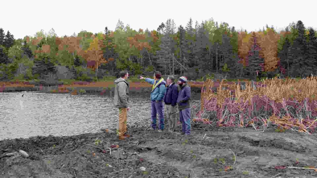 Future Plans For Oak Island - What’s Coming Ahead!