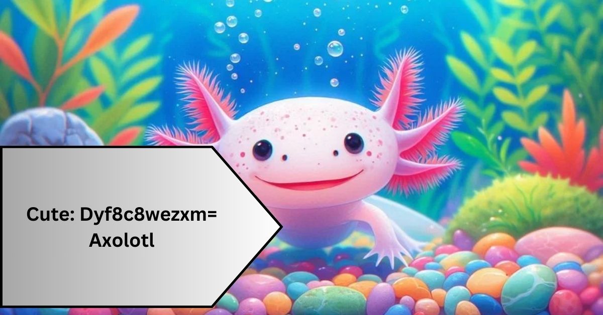 Cute Dyf8c8wezxm= Axolotl